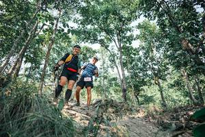 BIB: 
                            <button type="button" onclick="openModal(25985830)" class="btn btn-primary btn-sm float-right btn-popup" data-toggle="modal" data-target=".modal-high-quality">
                        <i class="fas fa-shopping-cart"></i> Add to Cart
                    </button>
                                            <button type="button" onclick="isThisMe(25985830, true)" class="btn btn-success btn-sm float-right btn-popup btn-isme hidden" data-toggle="tooltip" data-placement="bottom" title="นี่คือรูปของคุณใช่ไหม คลิกที่นี่เพื่อเอาเข้าอัลบั้ม">
                        <i class="fas fa-plus"></i> Add to album
                    </button>
                    <button type="button" onclick="isThisMe(25985830, false)" class="btn btn-warning btn-sm float-right btn-popup btn-isnotme hidden">
                        <i class="fas fa-ban"></i> Remove from album
                    </button>